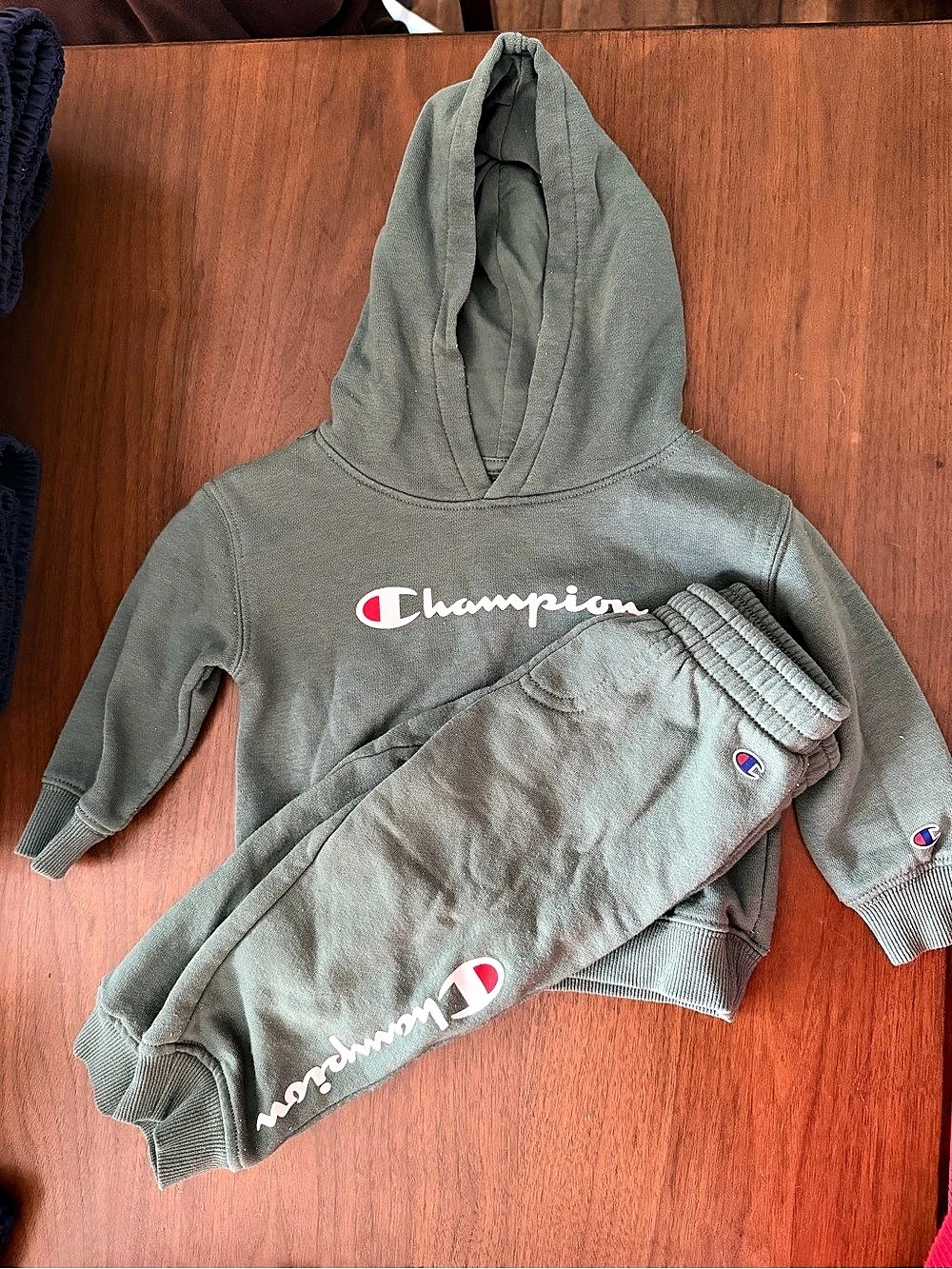 Champion Toddler Script Logo Hoodie and Jogger Set Gray 18M